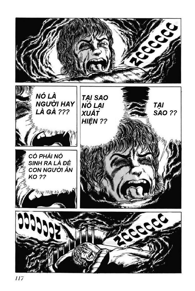 Trang 13