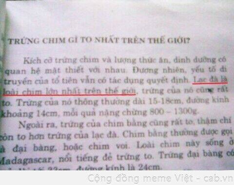 Trang 23