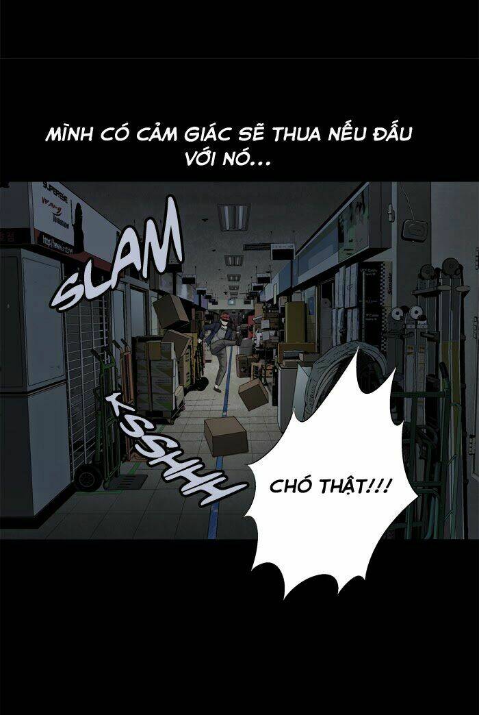 Trang 46